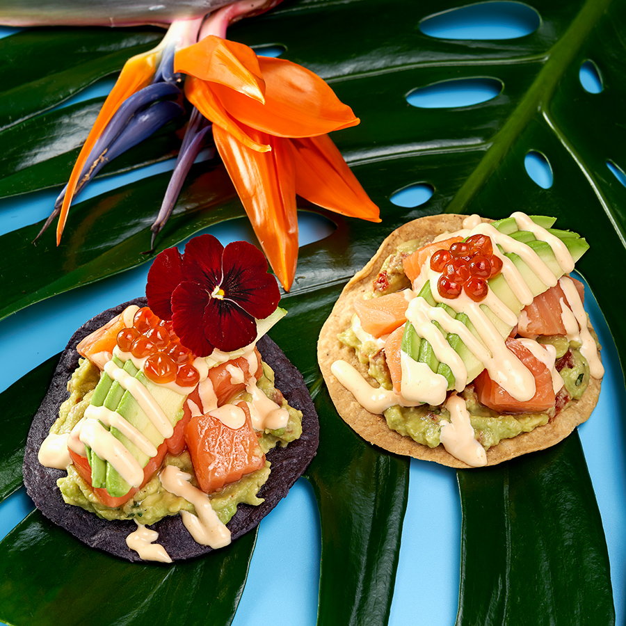 TOSTADA DE SALMAO